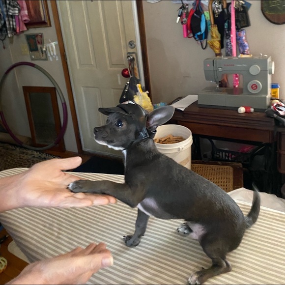 Meet your Posher, Kathryn - Picture 2 of 2